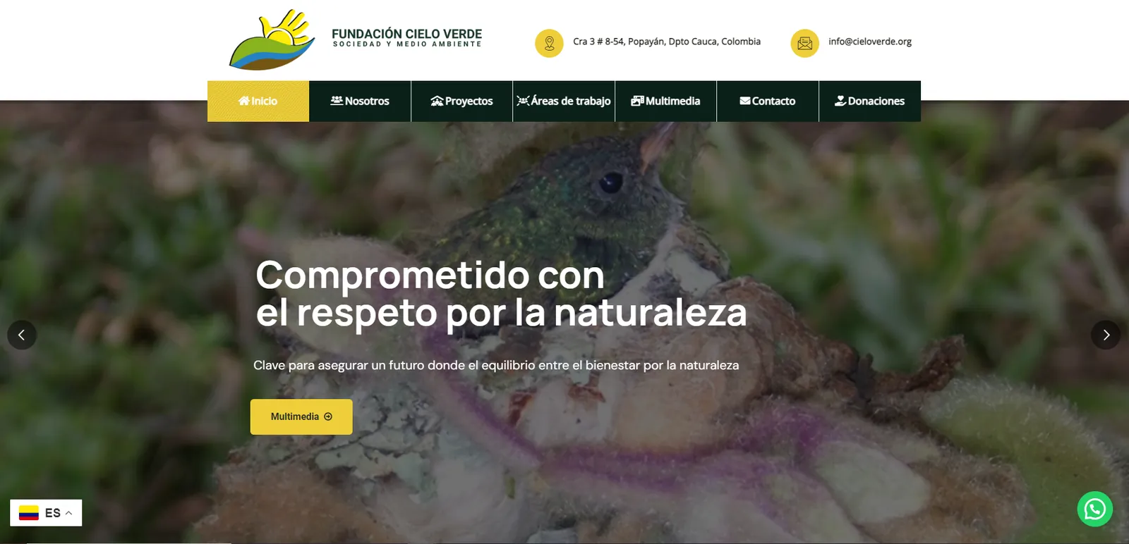 Sitios Web ONG'S — Fundación Social